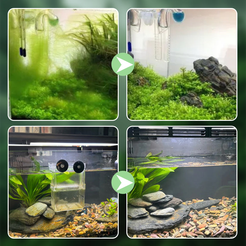 🐟Aquarium surface skimmer：✨no more oil film/biofilm/protein