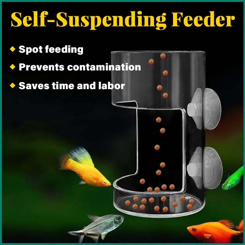 📢📢50% OFF !!⏰⏰Aquarium Feeding Ring and Tray