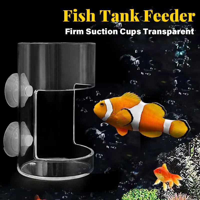 📢📢50% OFF !!⏰⏰Aquarium Feeding Ring and Tray